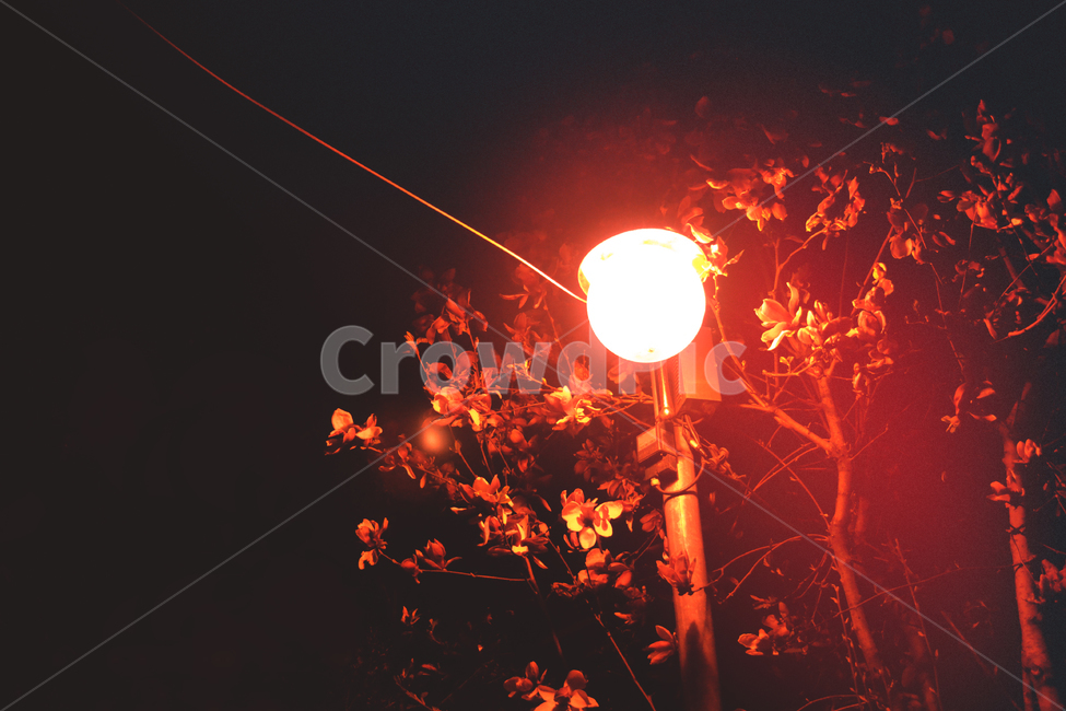 가로등,밤,빛,감성,밝음,느낌,어둠,빈티지,colorsensitivity,도시풍경,전선,nightview,야경,도시,도시감성,night,분위기,조명,object,나무,전봇대,streetlamp,야경,밤,풍경,nightscape,night,landscape,light,flare,플레어