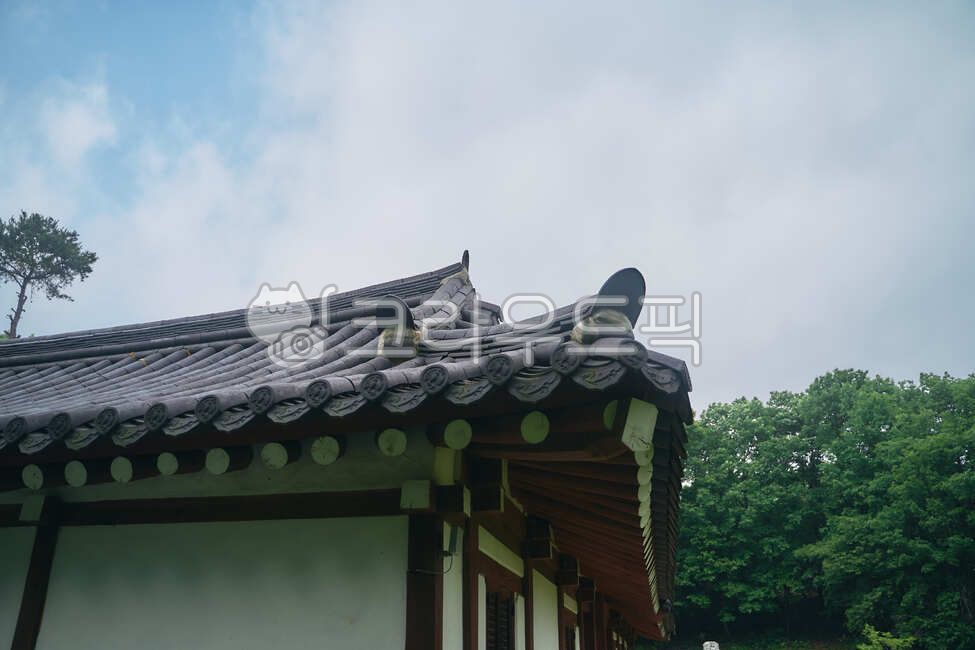 roof,koreantraditional,traditional hanok,construct,korean,building,korea,Hanok,eaves,tile roof,tile,Hanok roof,tile house,traditional architecture,tradition,Korean tradition,traditional house