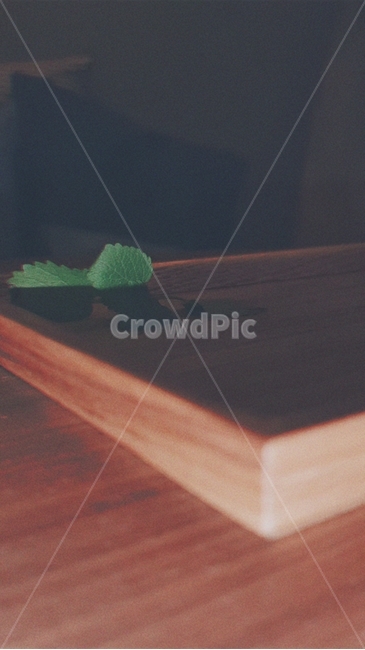 tabletop,테이블탑,furniture,가구,hardwood,표,table,나무,wood,견목,plywood,합판