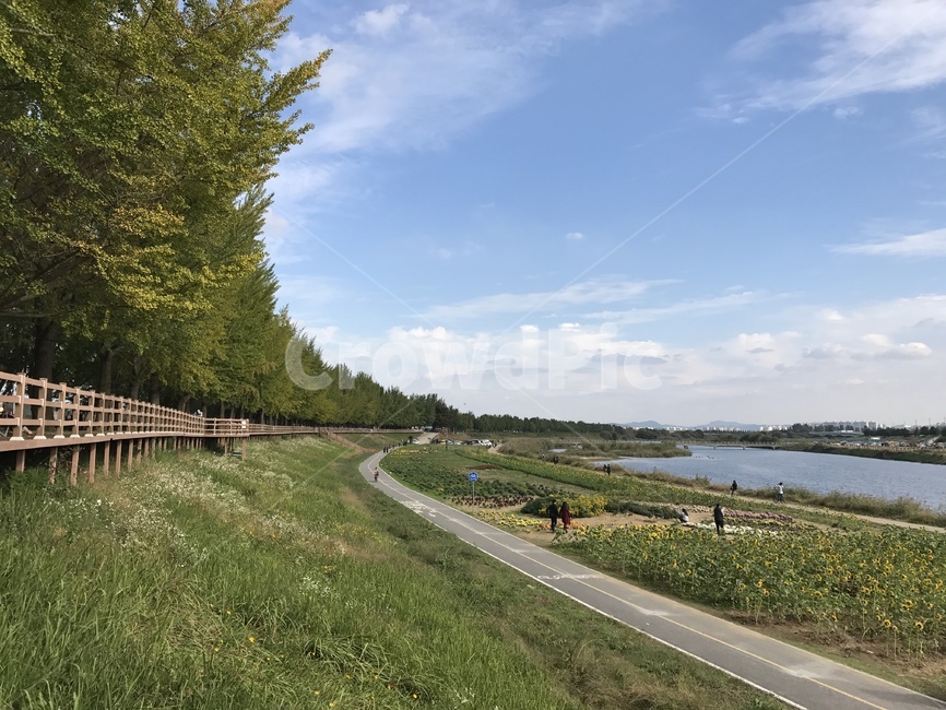 nature,grassland,목초지,자연,옥외,field,들,outdoors,평택,안성,아산,경기도,나들이,자전거길,하천,하늘,숲길,나무