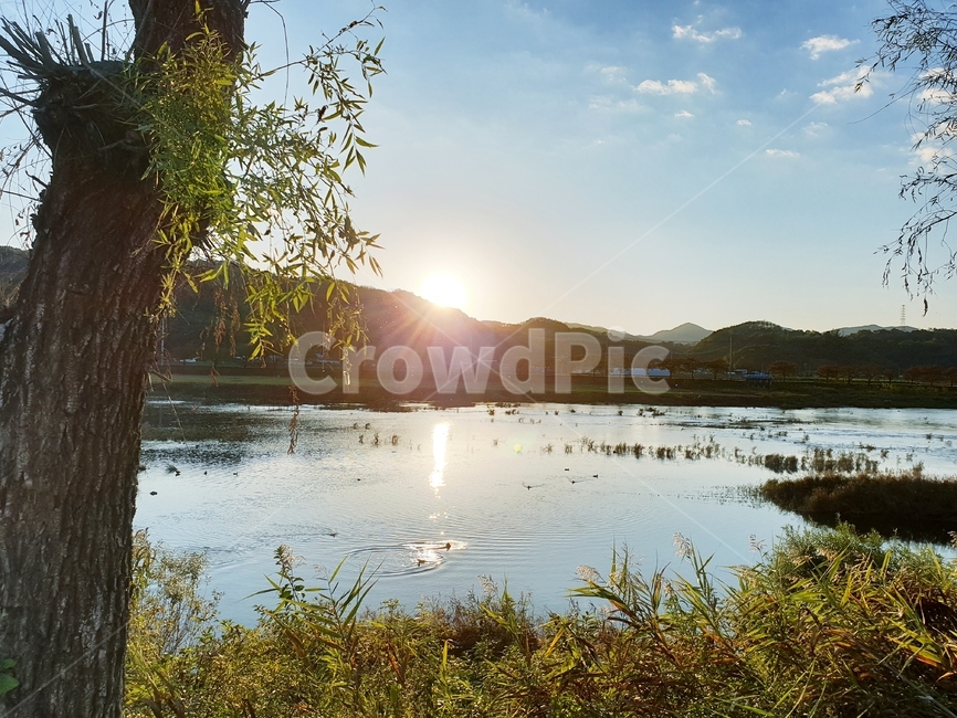 강가,풍경,낙동강,물,자연,water,outdoors,river,nature,후리지리,furipeace