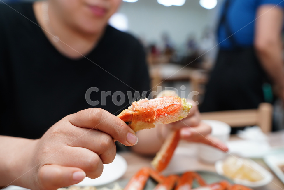 게,크랩,대게,음식,안주,먹거리,해물,crab,푸드,food,식사,person,사람,human,인간,음식,식재료,요리,food,cook,meal,dishes,food reserves,수산물,해산물,fishery products,seafood