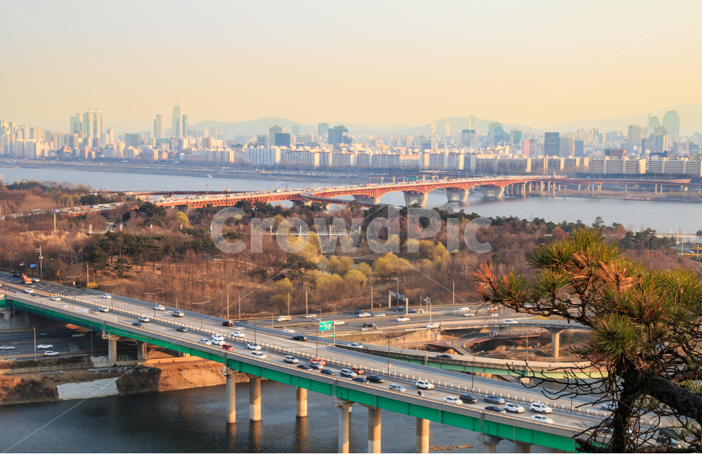 서울,응봉산,한강,강변북로,강,강변,강가,도로,차도,고속도로,봄풍경,경치,풍경,황사,미세먼지,다리,대교,대기오염,환경,환경오염,도시,꽃잎,건물,빌딩,서울숲,도시,풍경,city,landscape,한국도시풍경,한국도시경관,korea cityscape,교통,교통수단,traffic,transportation,road,outdoors,옥외,nature,자연,scenery