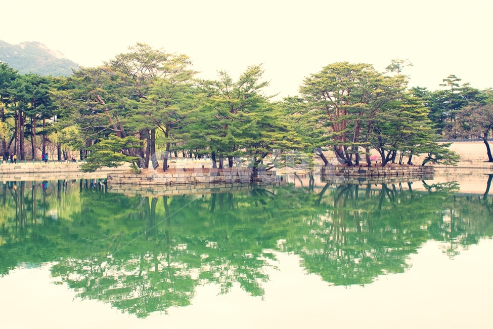 경복궁,나무,호수,그림자,초록,봄,하늘,대칭