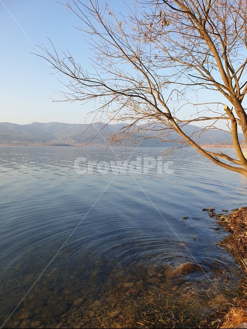 강,호수,물결,잔잔한,앙상한,나무,겨울호수,겨울,풍경,water,lake,river,waves,blue,물,옥외,outdoors