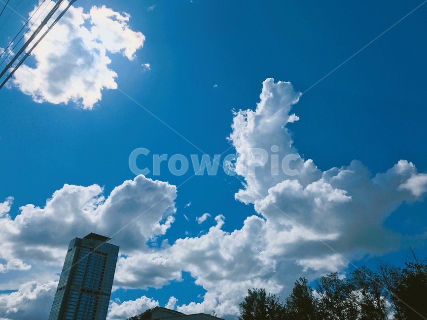 nature,자연,sky,하늘,outdoors,옥외,azuresky,푸른하늘,weather,날씨,cumulus,적운,cloud,구름