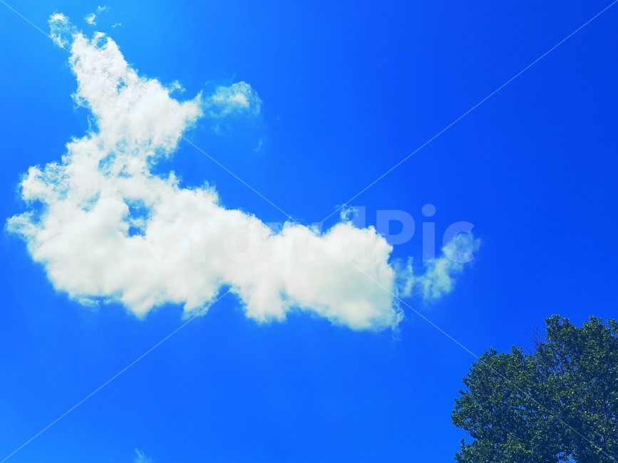 화창함,하늘,구름,날씨,여름,파랑,초록,나무,자연,배경,일상,색감,풍경,Clear,Sky,Weather,Summer,Blue,green,tree,nature,background,daily,color,landscape,View,자연,풍경,nature,landscape,outdoors,옥외,azure sky,푸른 하늘,sky