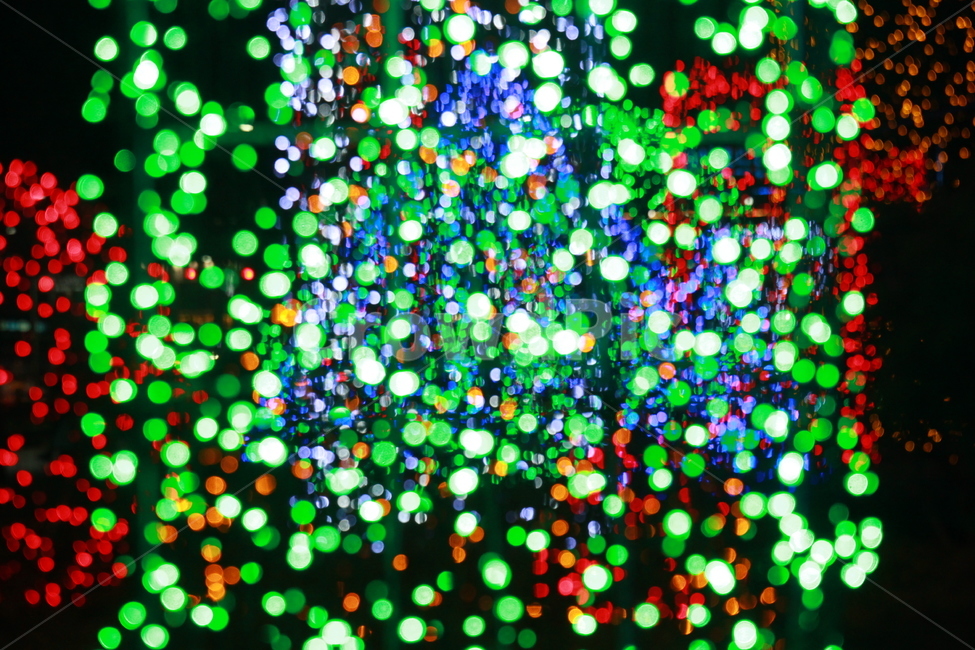 빛,네온사인,전구,크리스마스,조명,light,neon,christmas,야경,밤,풍경,nightscape,night,landscape,메리크리스마스,성탄절,merry christmas