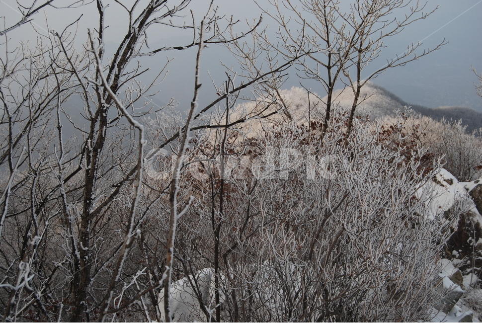 금학산,겨울산,탐방로,자연,휴양림,겨울,계절,winter,season,자연,풍경,nature,landscape,한국자연풍경,한국자연경관,korea nature landscape,outdoors,옥외,ice,빙,snow,눈