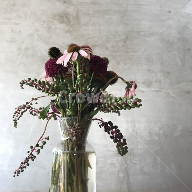 꽃,겨울,차가운느낌,chilly,꽃병,식물,자연,plants,nature,꽃,flower,실내용화초,화분,화초,house plant,인테리어,실내디자인,interior design