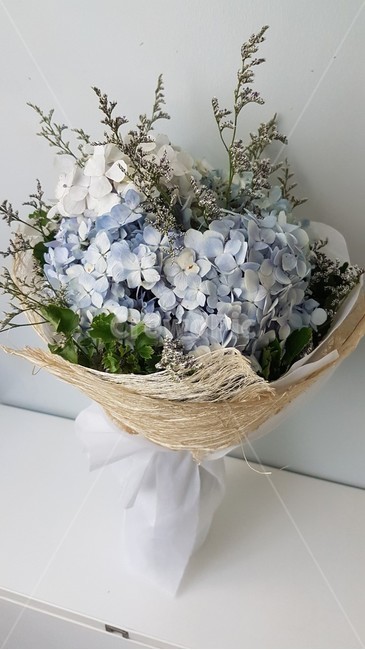 꽃,일상,아름다움,수국,안개꽃,꽃,flower,기념일,축하,anniversary,congratulation,celebrate,celebration