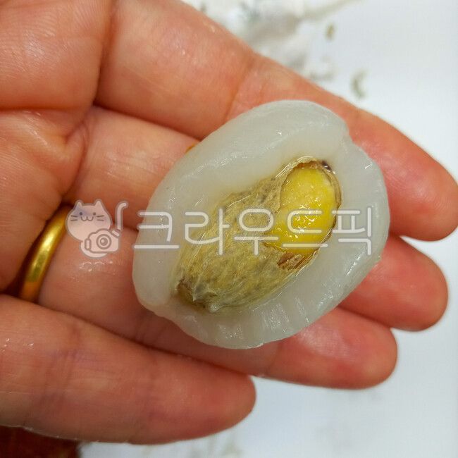 냉동식품,람부탄,람부탄과육,람부탄씨앗,람부탄씨앗껍질