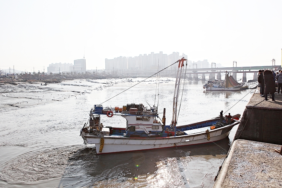 배,선박,어선,고기잡이배,소래포구,바다,자연,풍경,어업,어부,산업,industry,industrial,어업,fishery,fishing industry
