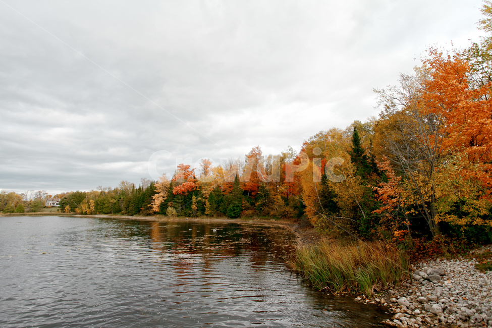 캐나다,단풍,가을,호수,단풍나무,자연,나무,식물,가을,계절,fall,autumn,season,water,물,nature,outdoors,옥외,tree,plant