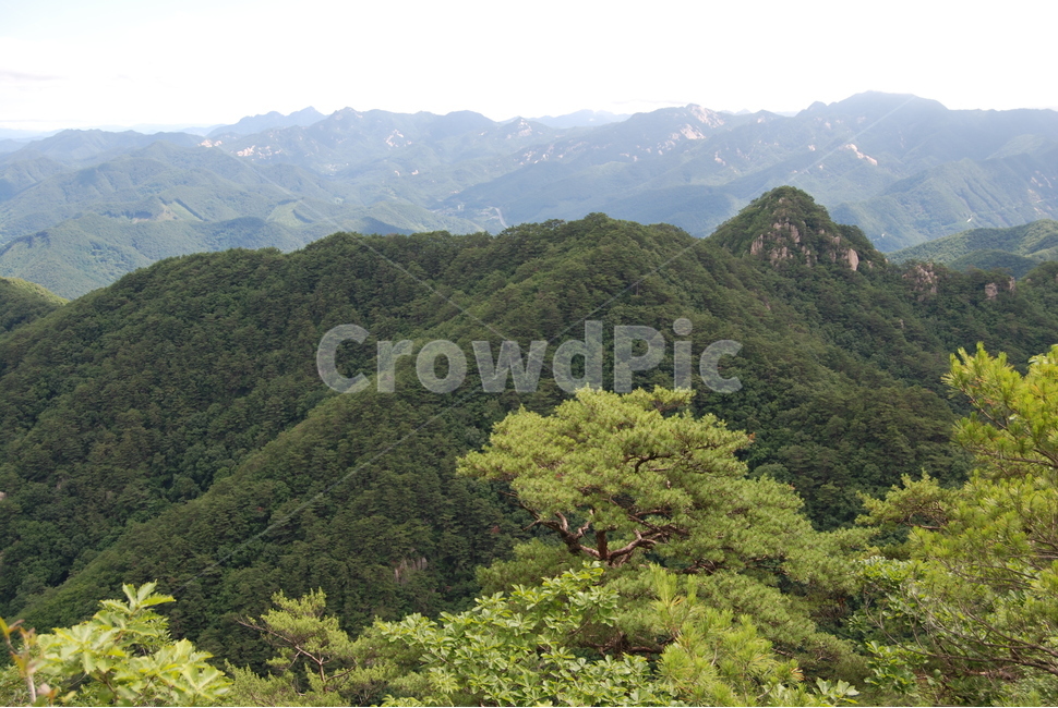 여름,하늘,국유림,한국,휴양지,등산로,자연,풍경,nature,landscape,slope,경사,outdoors,옥외,hill,언덕