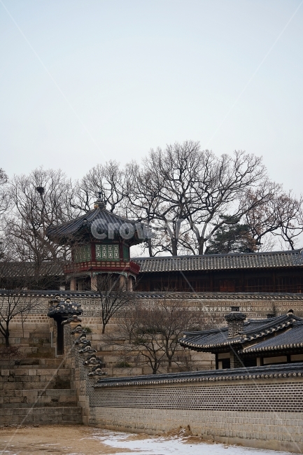 창덕궁,창경궁,후원,겨울궁,한옥,겨울,계절,winter,season,한국전통,한국문화,korean traditional,korean culture,랜드마크,landmark,tourist attraction,한국랜드마크,한국관광지,한국명소,korea landmark,korea tourist attraction,건축물,건물외관,exterior,building,structure,architecture,construction