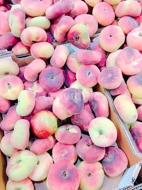과일,복숭아,fruits,납작복숭아,상큼