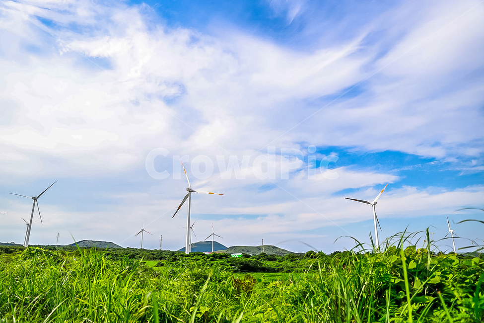 풍차,제주도,푸르름,자연,구름
