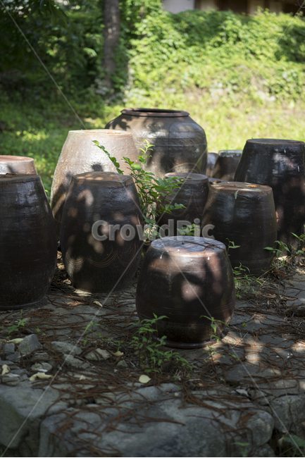 정원,뒷뜰,장독대,마을,민속마을,한국전통,한국문화,korean traditional,korean culture