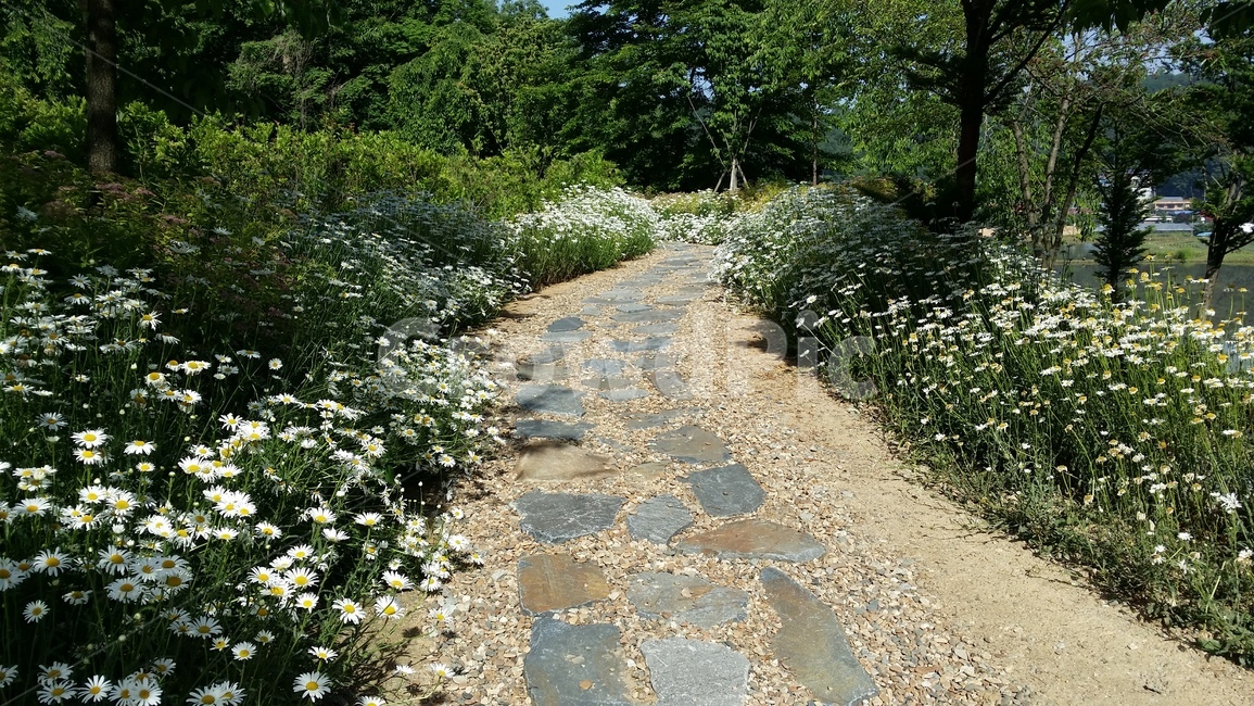 길,오솔길,숲길,풍경,꽃길,봄,road,자연,풍경,nature,landscape,flagstone,판석,path,통로