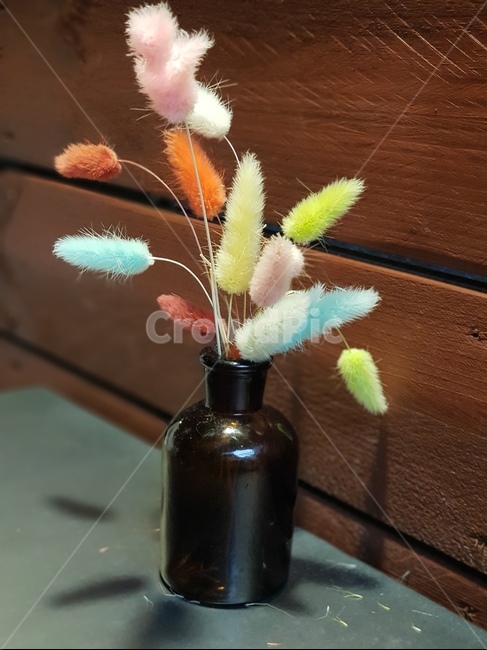 꽃,꽃병,인테리어,flower,interior