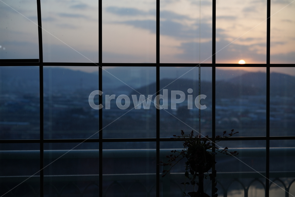 일출,태양,해,풍경,창,창가,window,자연,느낌,감성,구름,하늘,실루엣,sun,shine,색감,실내용화초,화분,화초,house plant