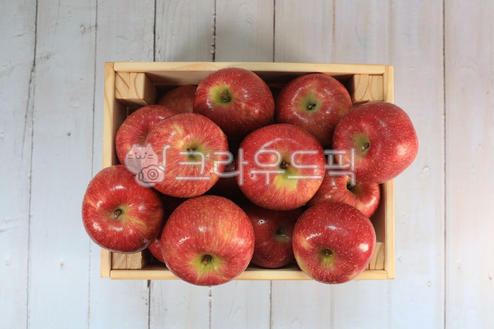 사과,부사,맛있는사과,apple,빨간사과,fruit