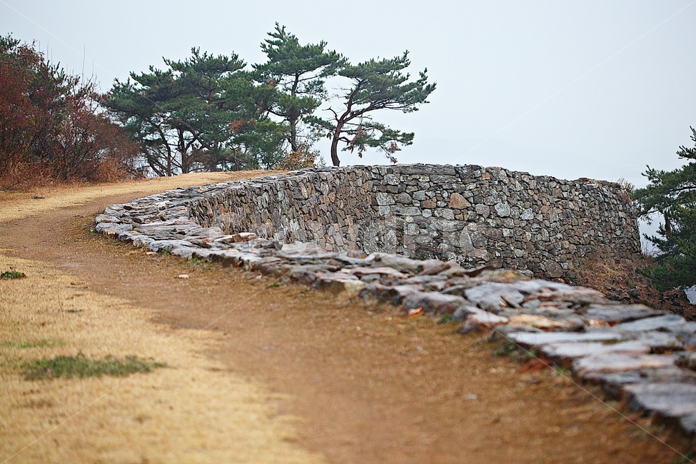 전등사,성,성곽,단풍,낙엽,산성,길,둘레길,숲,숲길,담,돌담,가을,자연,풍경,벽,방어벽,돌,나무,식물,가을,계절,fall,autumn,season,자연,풍경,nature,landscape