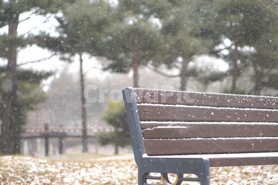 눈,눈오는날,자연,감성,벤치,snow,포근함,겨울,계절,winter,season,자연,풍경,nature,landscape,bench
