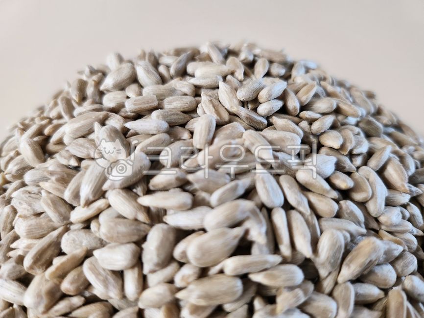 해바라기씨,견과류,씨앗,sunflowerseed,seed,식재료