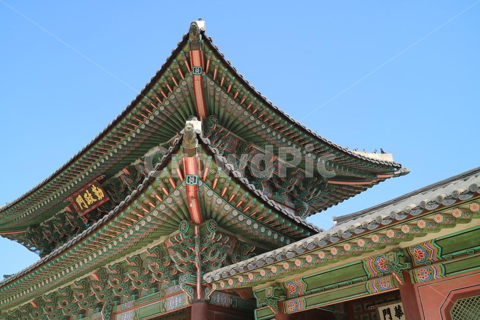 궁전,고궁,한국,한국전통,건축,건물,동양건축,전통가옥,한옥,문화재,대한민국,전통,민속,한국전통,한국문화,korean traditional,korean culture,랜드마크,landmark,tourist attraction,한국랜드마크,한국관광지,한국명소,korea landmark,korea tourist attraction,건축물,건물외관,exterior,building,structure,architecture,construction