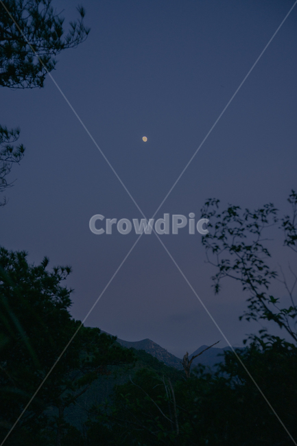 달,해질녘,자연,moon,nature,풍경,옥외,outdoors