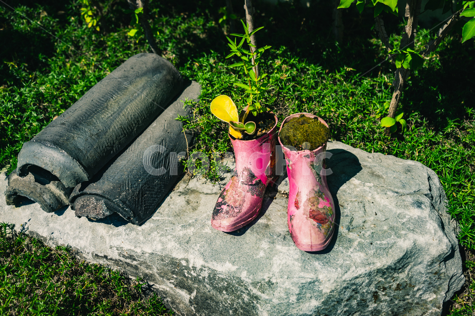 화분,장화,식물,아트,장식,바위,빈티지,기와,잔디,flowerpot,boots,plants,art,stone,vintage,grass,beautiful,식물,자연,plants,nature,감성,sensible,feeling,빈티지사진,빈티지느낌,빈티지감성,vintage