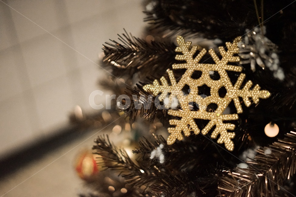 눈꽃,눈결정,겨울,트리,크리스마스,성탄절,겨울,계절,winter,season,메리크리스마스,성탄절,merry christmas