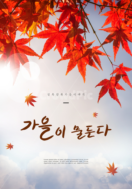 가을,감성,캘리,단풍나무,단풍잎,하늘,빛,배경,풍경,캘리그래피,손글씨,한글,문구,글귀,타이틀,엽서,붓글씨,캘리그라피,가을,계절,fall,autumn,season,캘리그라피,손글씨,calligraphy,plant,식물,leaf,잎,tree,나무