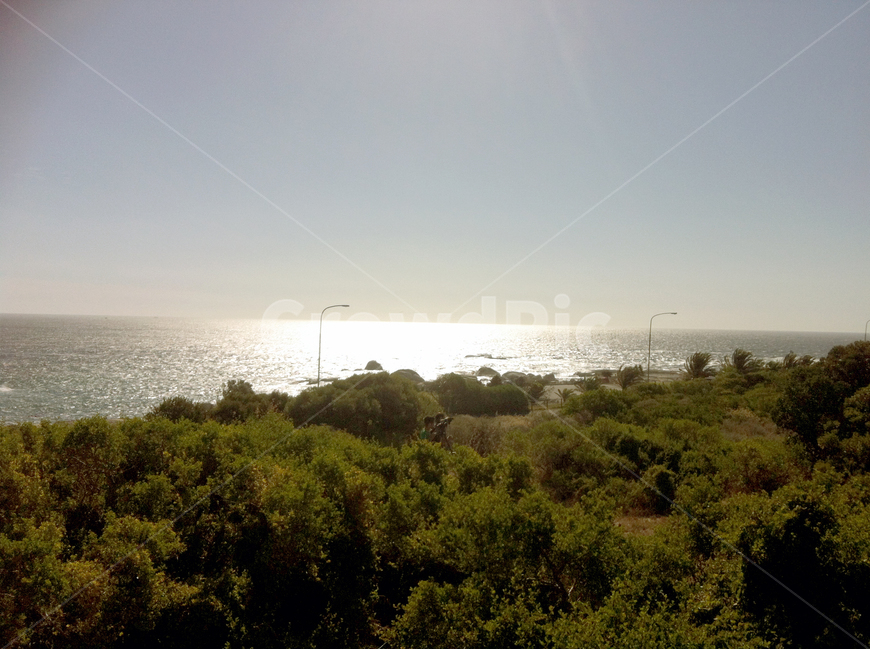바다,물빛,하늘,나무,은빛,수평선,sea,sky,tree,자연,풍경,nature,landscape,vegetation,초목,plant,식물,outdoors,옥외,land,땅
