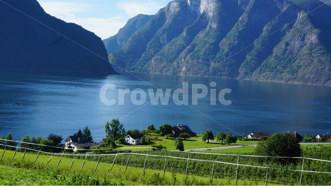 노르웨이,피오르드,송네피오르드,북유럽,노르웨이자연,노르웨이풍경,노르웨이여행,북유럽여행,노르웨이자동차여행,노르웨이집,노르웨이농장,북유럽농장,자연,풍경,nature,landscape,해외,외국,세계,foreign,oversea,world,세계자연풍경,해외자연풍경,외국자연풍경,world nature landscape,outdoors,옥외