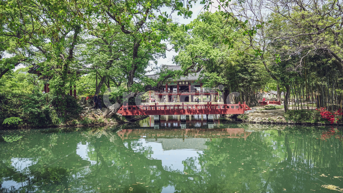 한국,전통,남한루원,기와,버드나무,한옥풍경,누각,연못,풍경