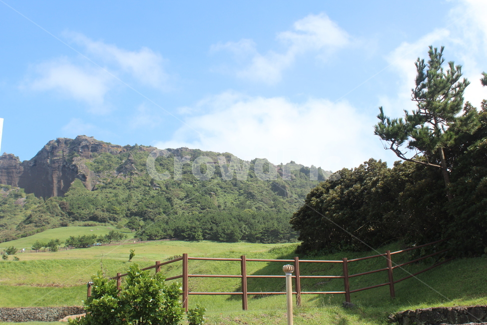 제주,제주도,나무,여유로움,여유,nature,자연,outdoors,푸른하늘,sky,하늘,날씨,자연,풍경,nature,landscape,옥외,field,들,grassland,목초지
