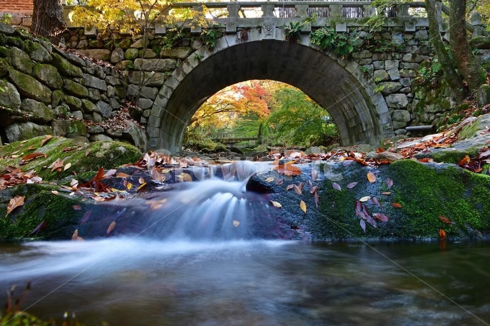 전북,김제,금산사,금산사단풍,금산사계곡,폭포,돌다리,추색,가을,단풍,water,물,nature,자연,outdoors,옥외,stream,흐름,가을,계절,fall,autumn,season,자연,풍경,nature,landscape