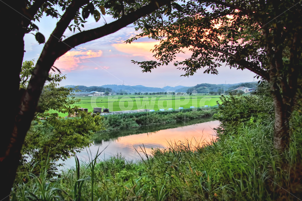 노을,일몰,색감,감성사진,감성,풍경,자연,풍경,nature,landscape,outdoors,옥외,field,들,grassland,목초지,land,땅,plant,식물,vegetation,초목