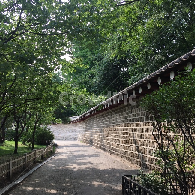 봄,경복궁,광화문,나무,그림자,한국전통,한국문화,korean traditional,korean culture,건축물,건물외관,exterior,building,structure,architecture,construction