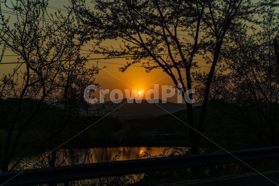 노을,풍경,저녁,태양,감성,따뜻함,나무,호수,배경,자연,풍경,nature,landscape,outdoors,옥외,dusk,황혼,sunset,일몰,dawn,새벽,sky,하늘,red sky,붉은 하늘,sunlight,햇빛