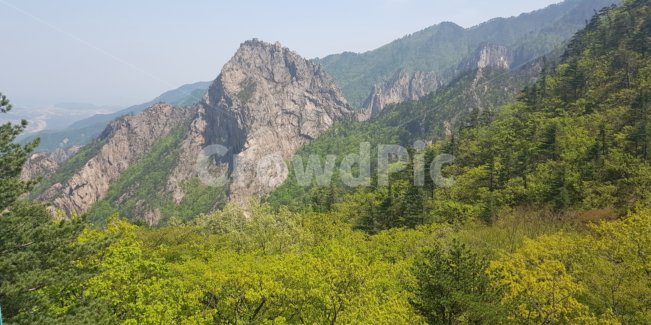 산,초록색,나무,식물,자연,배경화면,mountain,green,tree,plant,nature
