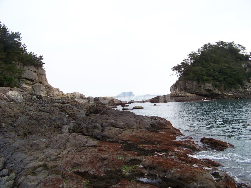 바다,해안,청산도,갯바위,바닷가,바위해안,암석지대,해안절경,섬,수면,파도,해송,자연경관,풍경,여행,해안선,휴식,힐링,조용함,평온함,하늘,구름,숲,해양,한국의바다,해식지형,암초,해안산책,석양,수평선,모험,자연미,바다여행,관광지,쉼터,바위,물결,절벽,암석해안,섬풍경,자연,풍경,nature,landscape,land,땅,outdoors,옥외,promontory,곶,shoreline,해안선,water,물,ocean,대양