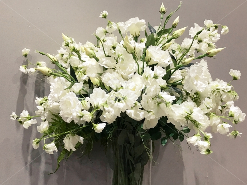 화이트,흰색,꽃,흰색꽃,웨딩,플라워,부케,화이트꽃,화병,꽃꽃이,white,nature,background,flower,petal,blossom,floral,bouquet,beauty,closeup,summer,plant,spring,beautiful,blooming,bloom,fresh,green,flora,celebration,natural,color,decoration,detail,design,romantic,bright,wedding,whiteflowers,decorate,pretty,flowerwhite,flowerbackground,whitebackground,실내용화초,화분,화초,house plant