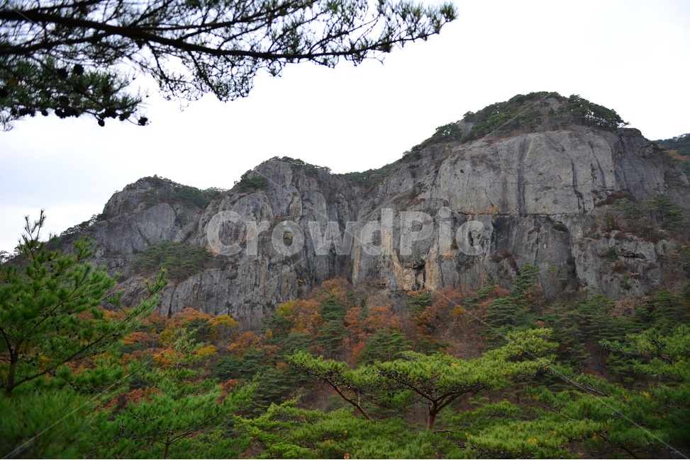 경북,청송,주왕산,주왕산가을,추색,가을,추경,단풍,단풍잎,cliff,낭떠러지,plant,식물,leaf,잎,tree,나무,treetrunk,나무줄기,nature,자연,outdoors,옥외,경치,경관,풍경,자연,풍경,nature,landscape