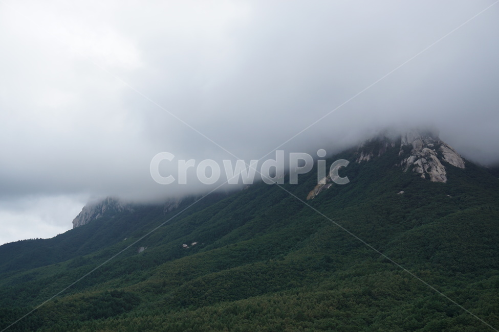 구름,운무,산,강원도,미시령,자연,풍경,배경,안개,자연,풍경,nature,landscape,slope,경사,mountain range,산맥,mountain,outdoors,옥외