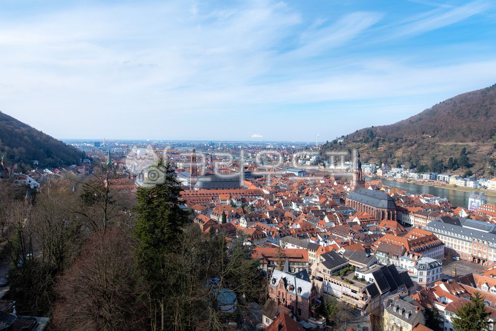 유럽,europe,독일,germany,하이델베르그,heidelberg,중세도시,medievalcity,도시풍경,cityscape,빌딩,building,건축물,architecture,강,river,자연경관,naturallandscape,집,houses,교육도시,educationcity,roof,지붕,nature,자연,outdoors,옥외