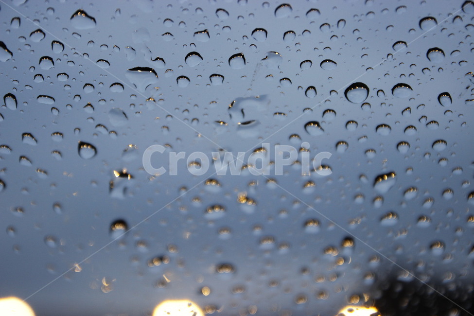 비,비오는날,rainyday,보케,빗방울,물방울,비,비오는날,rain,rainy